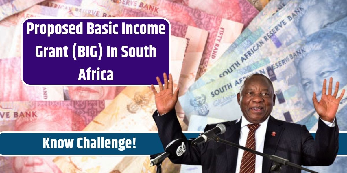 Proposed Basic Income Grant (BIG) In South Africa